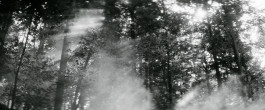 JULIAN ROBINET